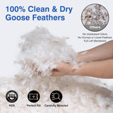 zibroges Goose Feather Pillow Queen Size Pack of 2 - Hotel Down Bed Pillows for Sleeping, Soft 600 Thread Count Cotton Cover, Fluffy Support Surround Fill Polyester for Back, Stomach, Side Sleepers