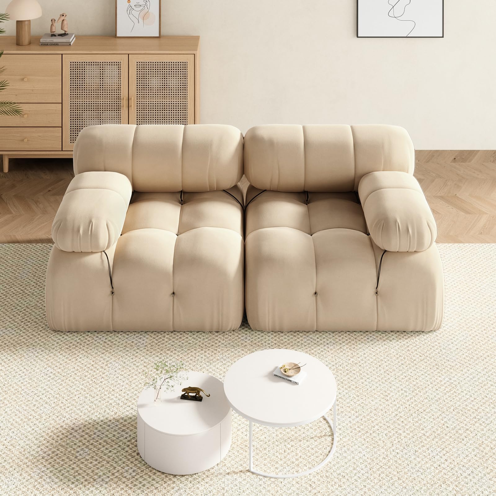 Modular Sectional Sofa Couch, Luxury Loveseat Sectional Couches for Living Room