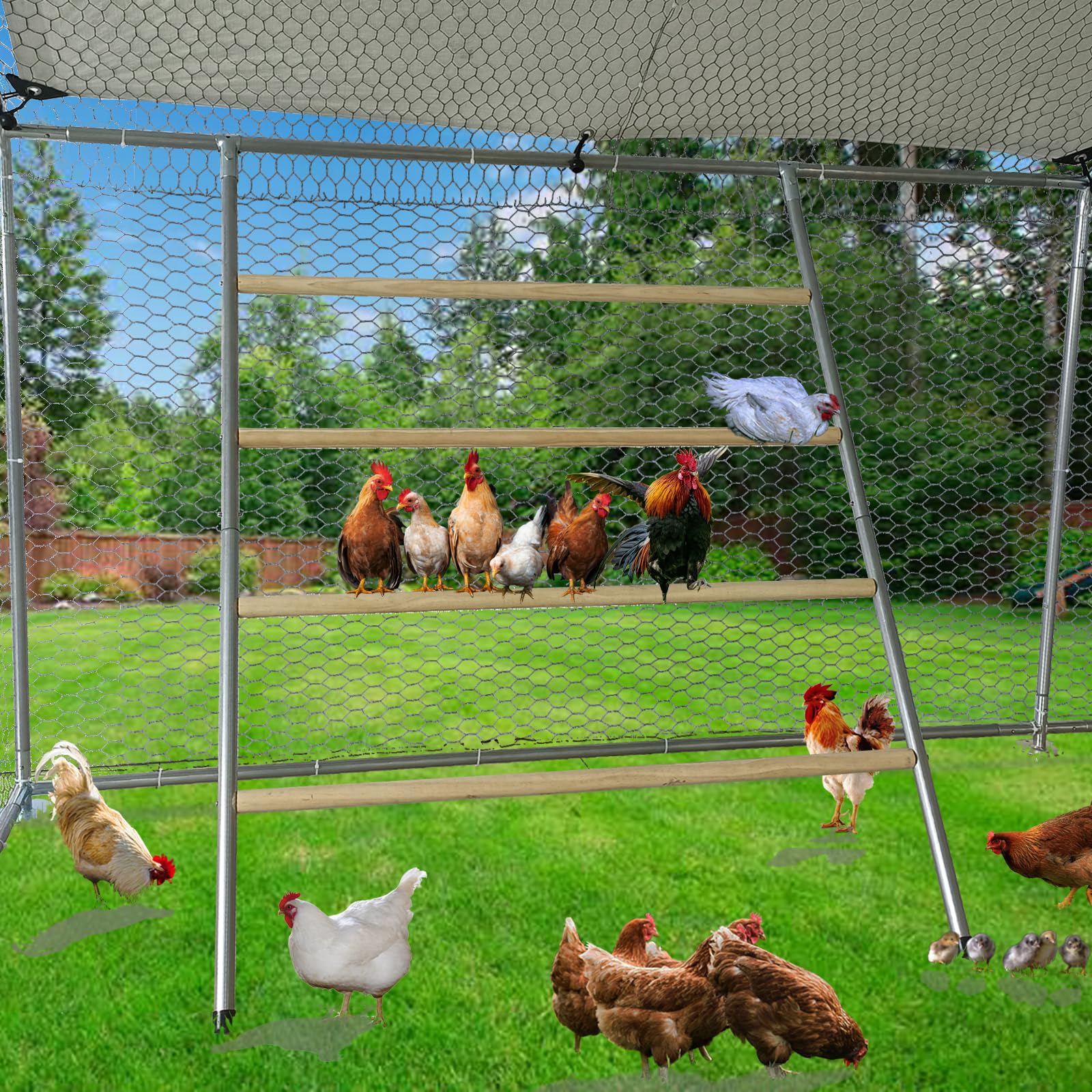 PerchPro XL Chicken Roost – Galvanized Pipe & Wood Perch for Metal Coops