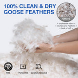 Goose Feather Bed Pillow Queen Size Set of 2 - Hotel Down Pillows for Sleeping