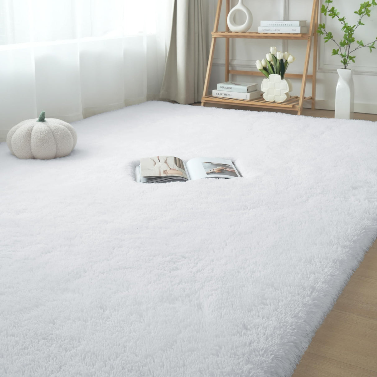 White Fluffy Area Rug Bedroom: Shag Rugs for Bedroom -White Area Rug 5x7 Plush Fuzzy Carpet (White, 5x7 Feet)