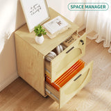 2 Drawer File Cabinet with Charging Station, Rattan Filing Cabinet with Lock