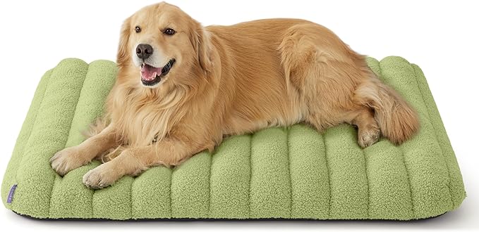 4 Inch Thick Orthopedic Foam Dog Bed for Large Dogs, Waterproof Chic Flat Dog Bed