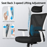 Ergonomic Office Chair, Rolling Swivel Executive Desk Chair, Breathable Mesh Gaming