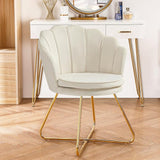 Pink Vanity Chair, Chair for Bedroom, Makeup Chair with Gold Plating Legs, Accent Chair