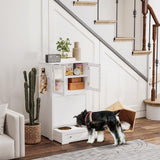 Elevated Dog Feeding Station with Storage Cabinets & Bowls