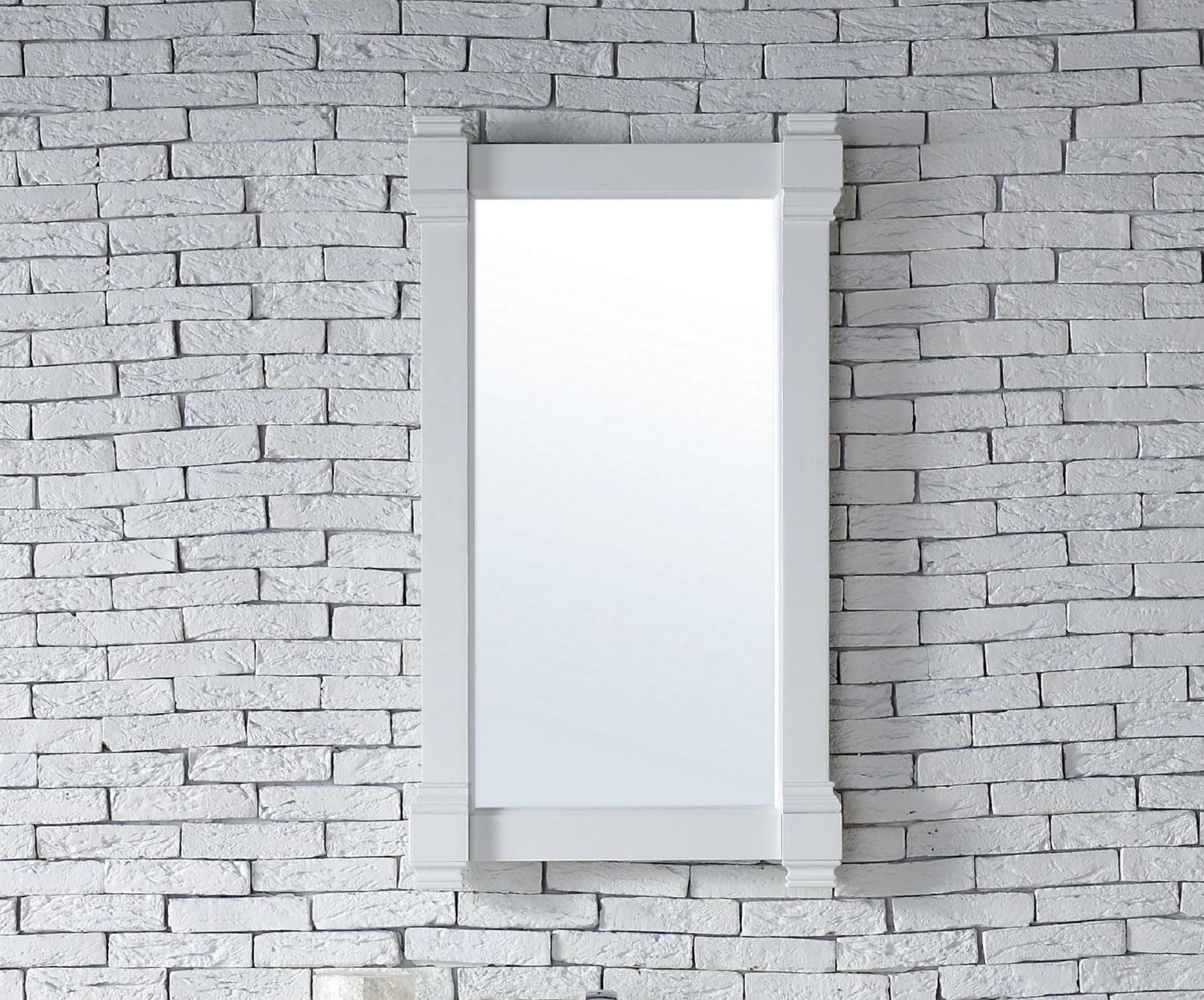 22 in. Mirror in Burnished Mahogany Finish