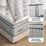 Queen Mattresses, DIGLANT 14 Inch Plush Hybrid Mattress, Queen Size Memory Foam