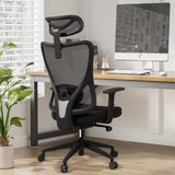 Ergonomic Mesh Office Chair with High Back & Adjustable Headrest & Lumbar Support