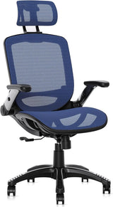 Ergonomic Mesh Office Chair, High Back Desk Chair