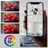 Modern LED Ceiling Light - Dimmable 5CCT Flush Mount (6 Lights, Black)