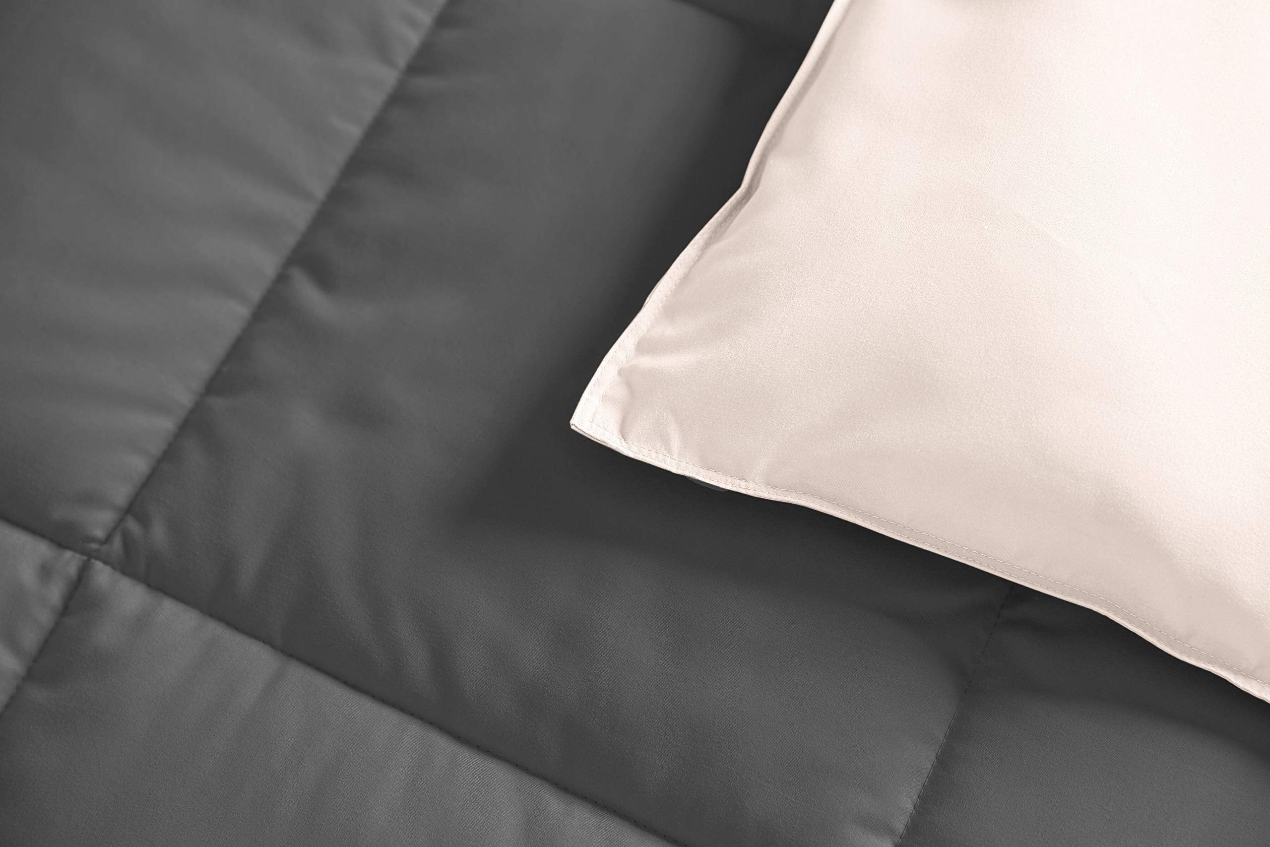 Soft and Plush Down Alternative Comforter - Reversible