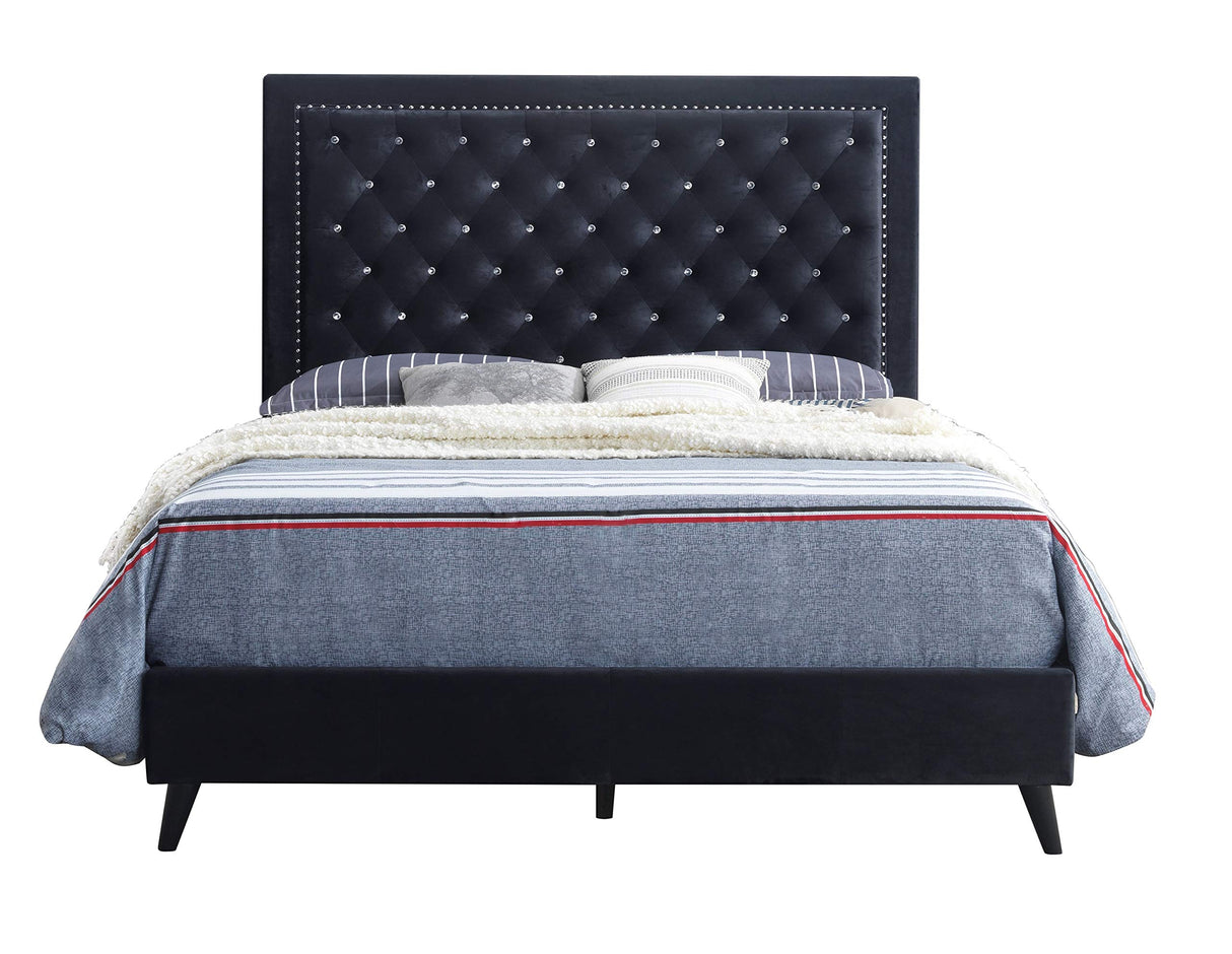 Alba Velvet Upholstered Queen Bed in Black