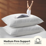 Soft Bed Pillows for Sleeping, Goose Feather Down Hotel Collection Standard Size of 2