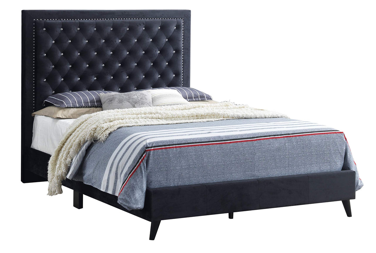 Alba Velvet Upholstered Queen Bed in Black