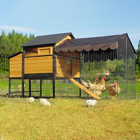 for 2-4 Chickens, Mobile Chicken House for Outdoor with Wheels, Nesting Box