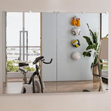 Home Mirror Workout Mirror, Large Full Body Mirror