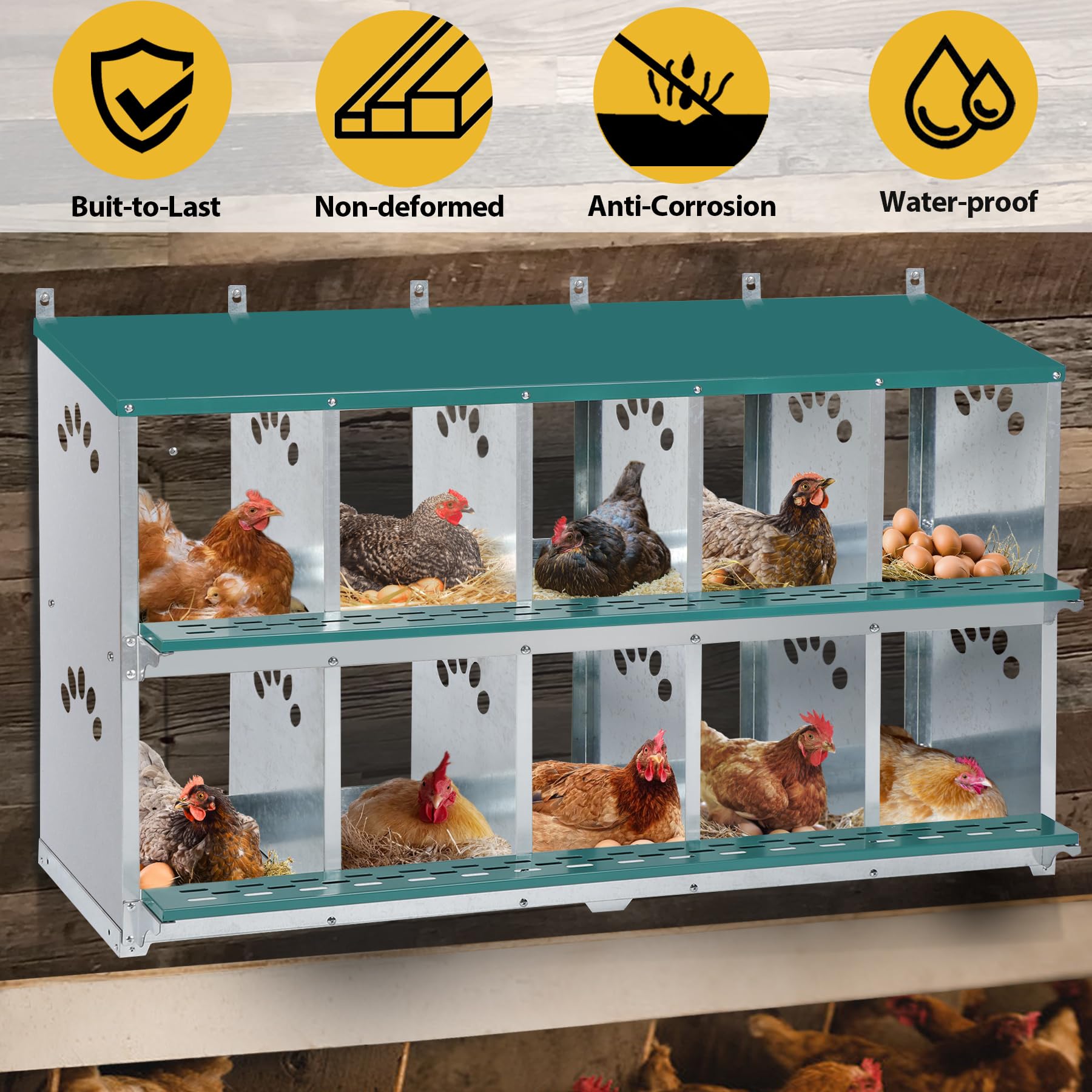 Chicken Nesting Box, 10 Compartment Nesting Box, 10 Room Metal Nesting Boxes
