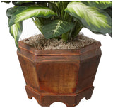 22IN Artificial Triple Golden Dieffenbachia Plant with Decorative Wood Planter