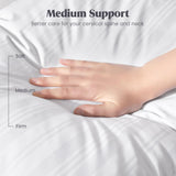 Goose Feather Down Pillow with 2 Pillowcases, Soft Fluffy Medium Firm