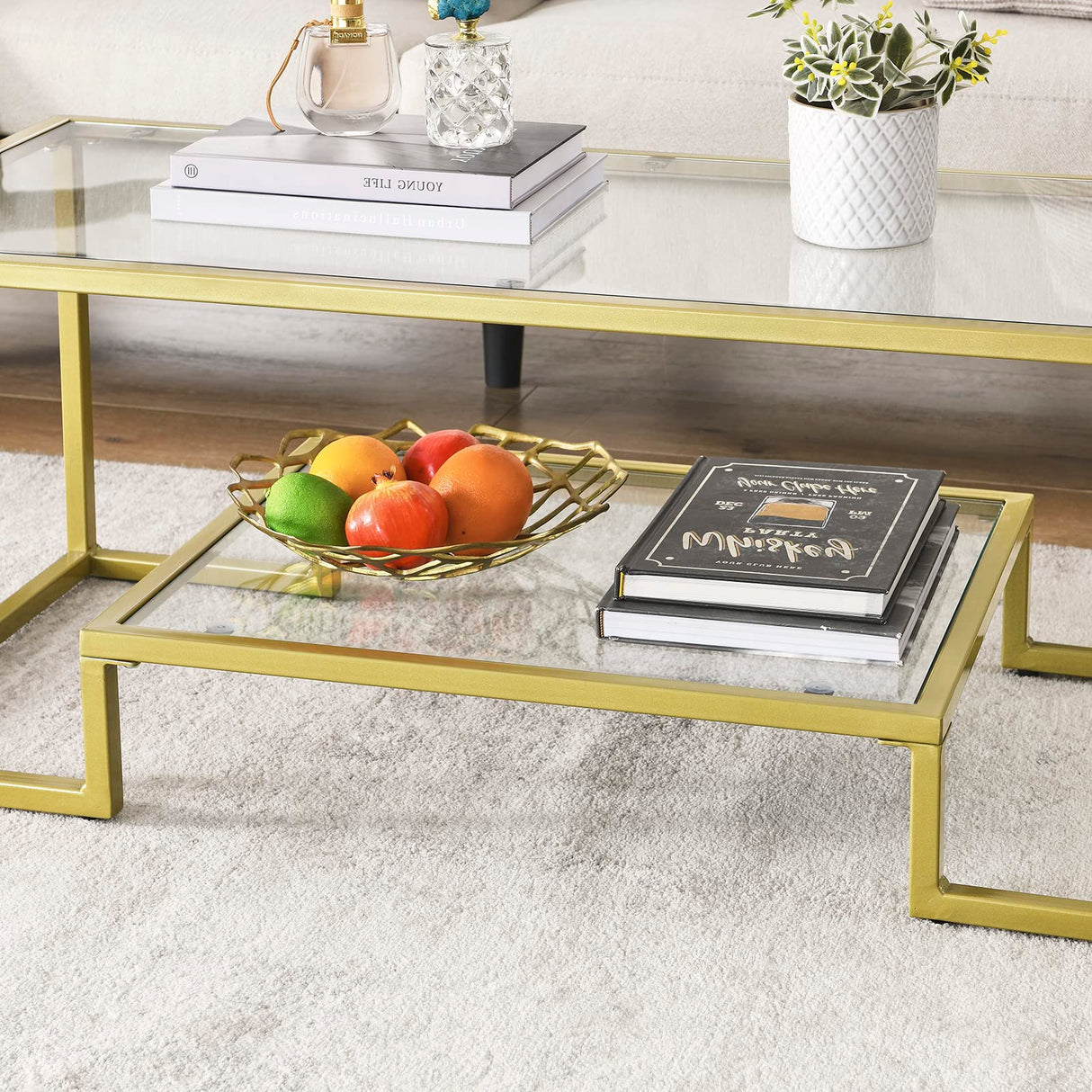 Alohappy Glass Coffee Table Modern Rectangular Coffee Table with 2-Tier Storage Shelf and Sturdy Metal Frame Center Table Easy Assembly for Living Room