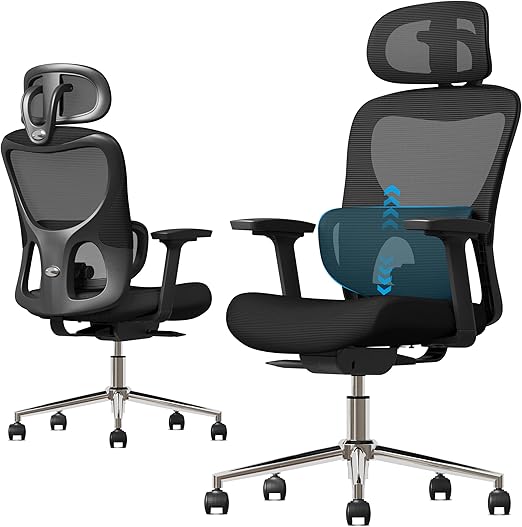 Office Chair, Ergonomic Desk Chair with Adjustable Lumbar Support, 3D Armrest, Headrest,