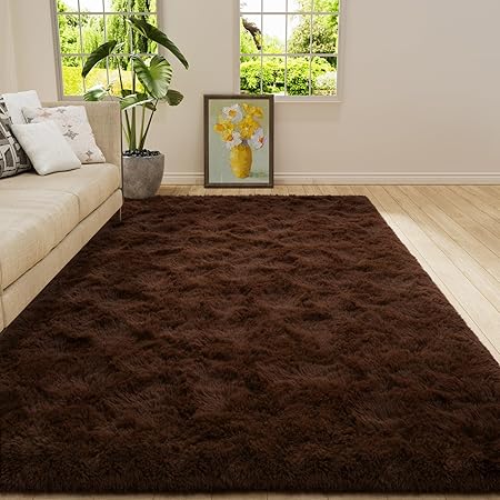 Shag Fluffy Area Rug for Bedroom Girls Living Room, Extra Soft and Fuzzy