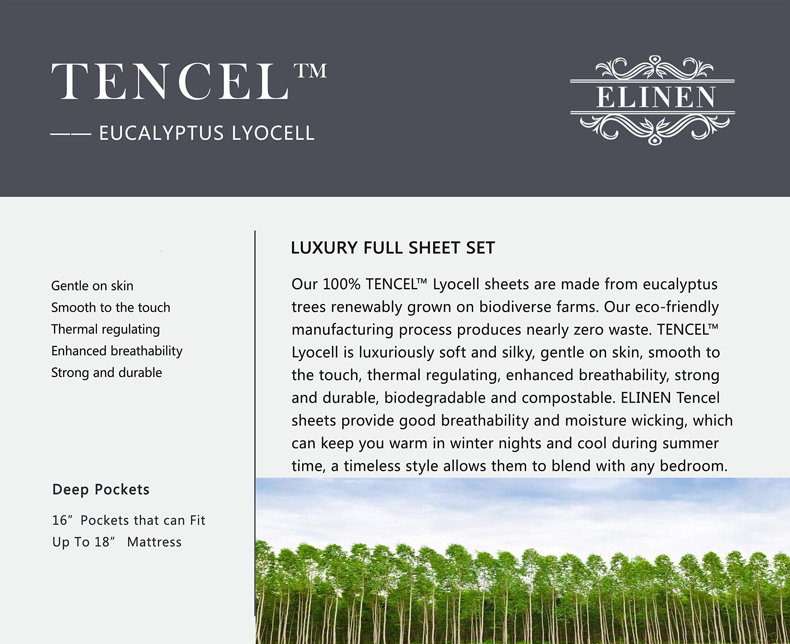 100% Tencel Sheet Set - Queen Size 4 Piece Sheets with Deep Pockets up to 18 Inches