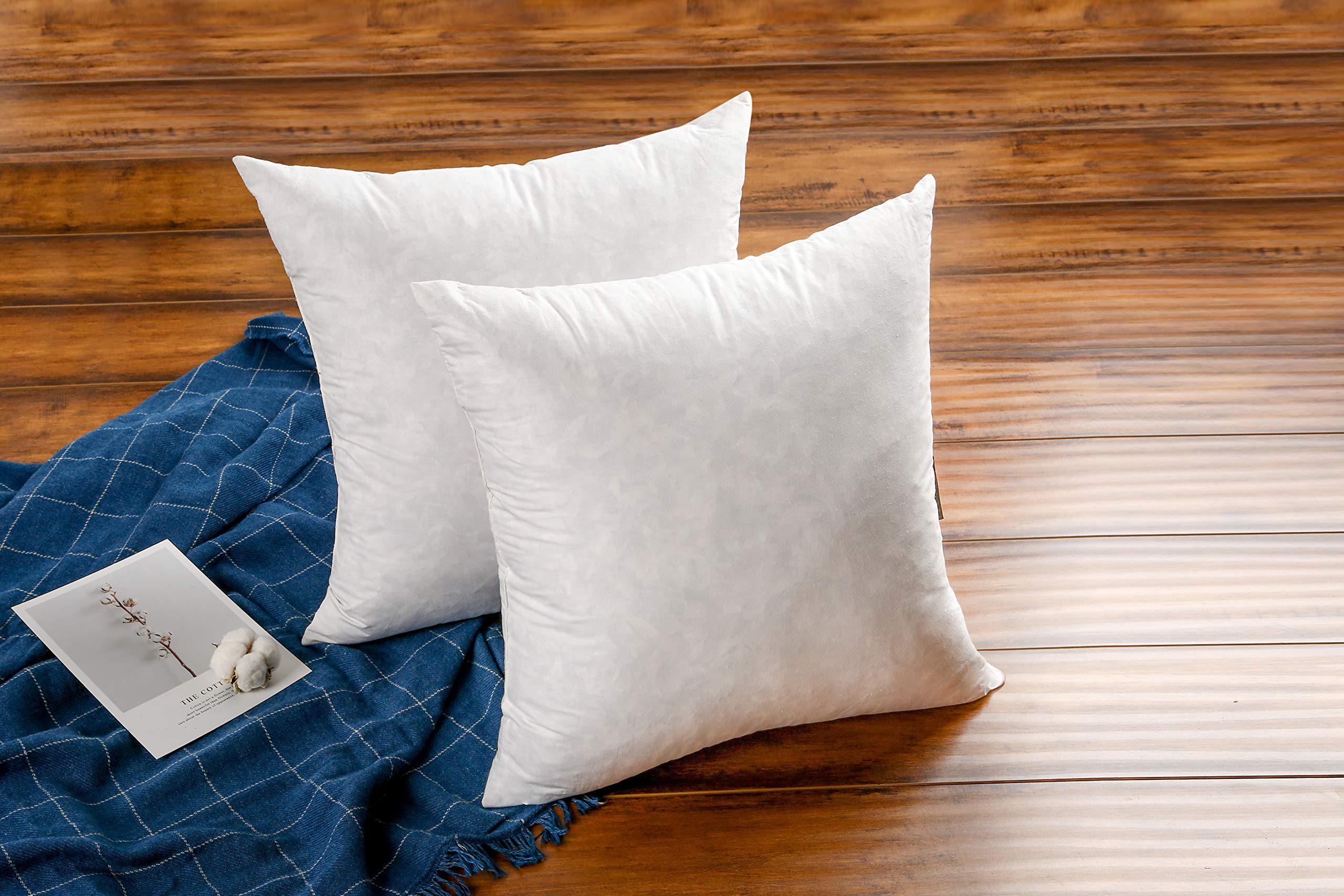 24×24 Premium Goose Down Feather Throw Pillow Inserts(Set of 2)-5% Down Filling