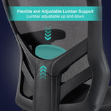 Ergonomic Mesh Office Chair with Adjustable Lumbar Support