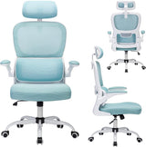 Office Chair, Ergonomic Mesh Office Chair with Adjustable Headrest and Arms, High Back