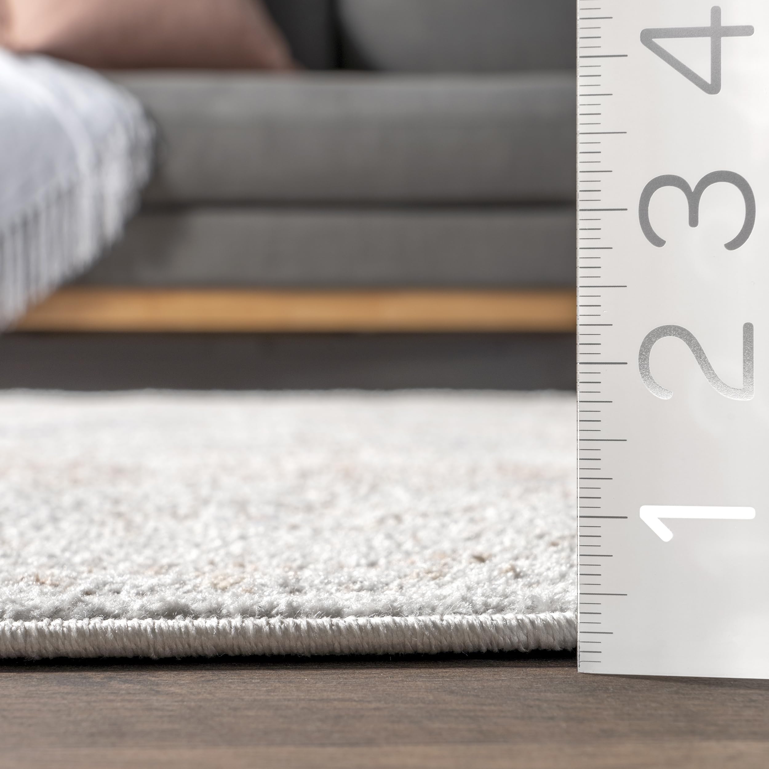 Jacquie Vintage Floral Area Rug 10x14 - Transitional Silver Ivory