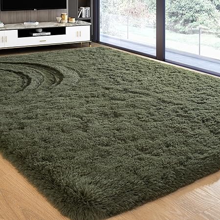 Rug for Living Room 6x9 Feet Area Rug for Bedroom Super Soft Shaggy