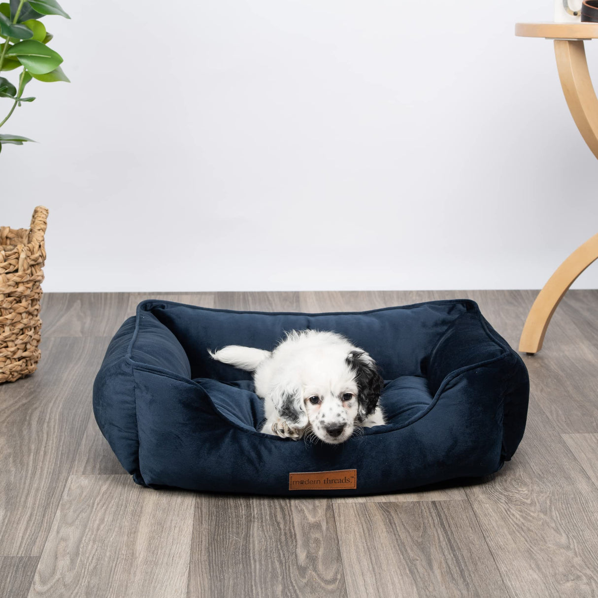 Luxury Dog Bed - Comfortable Tufted Velvet Cushion for Small to Large Dogs