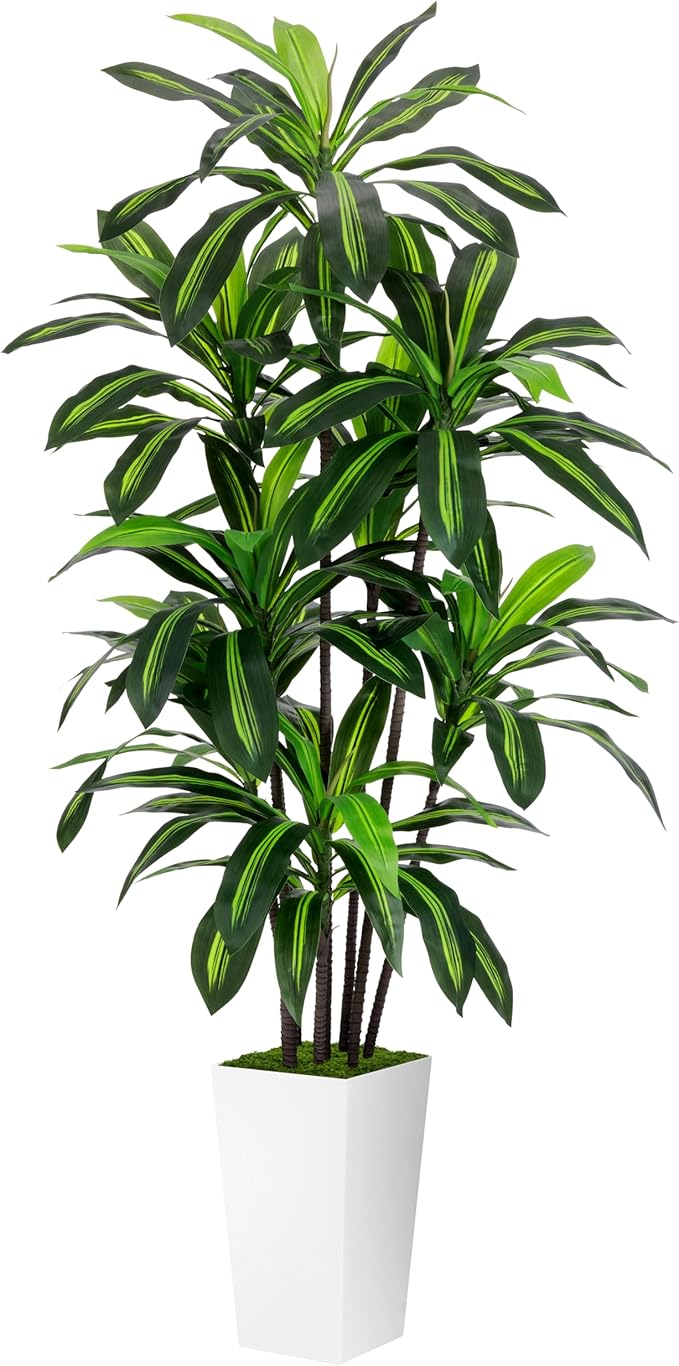 Artificial Dracaena Plant Indoor 5FT - Fake Tree with White Tall Planter