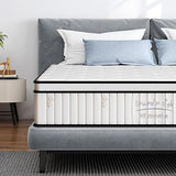 Queen Mattress, 12 Inch Hybrid Queen Mattress in a Box, Individual Pocket Spring Bed