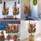 2 Pack Artificial Camellia Trees 42in/3.5ft Flowers Trees with 36 Rose Red Flowers Fake