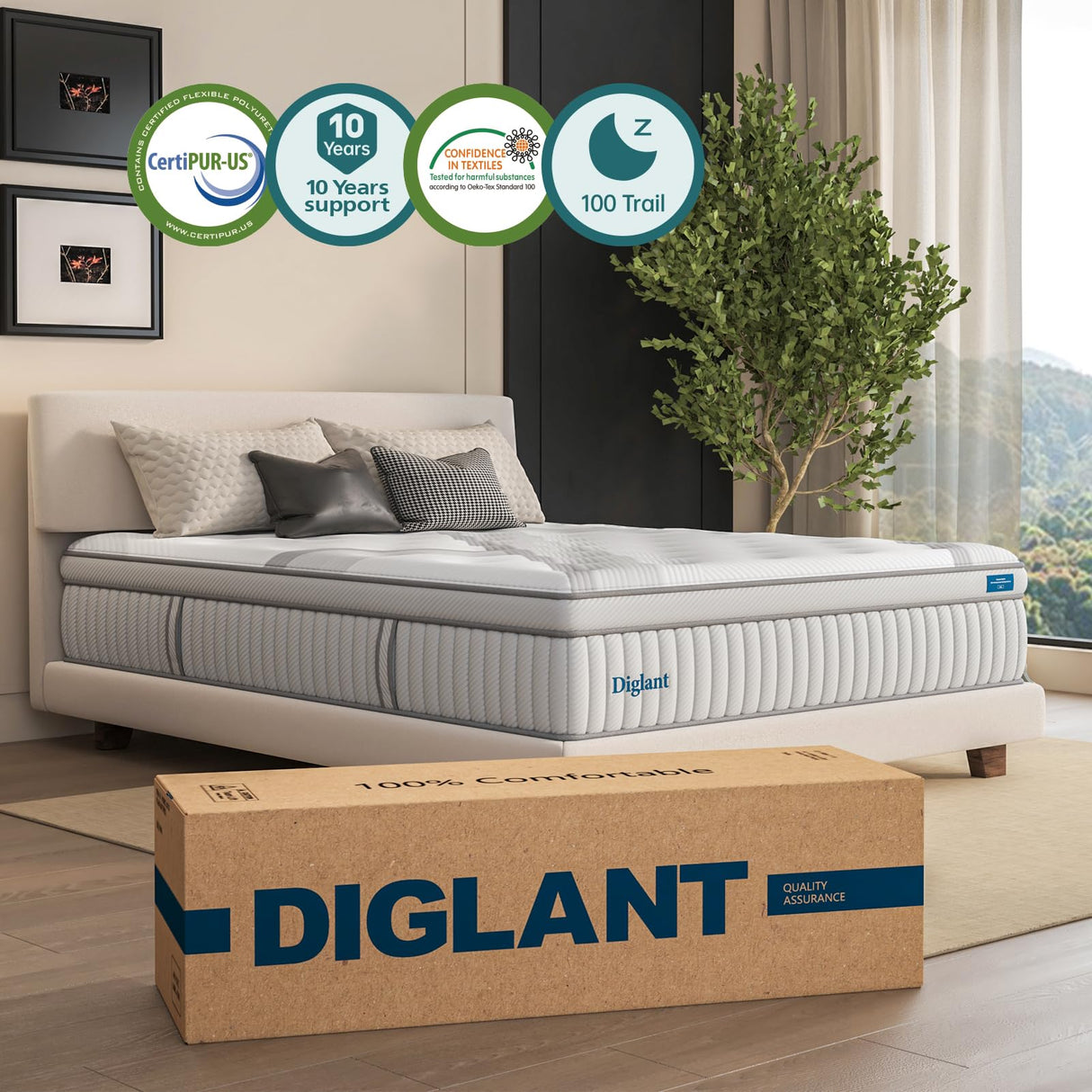 Queen Mattresses, DIGLANT 14 Inch Plush Hybrid Mattress, Queen Size Memory Foam