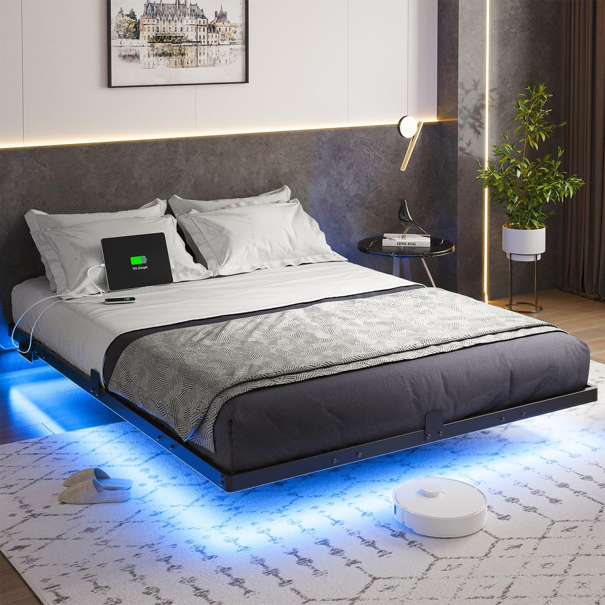 Queen Size Floating Bed Frame with LED Lights, USB Charging Station