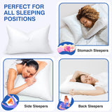 zibroges Goose Feather Pillow Queen Size Pack of 2 - Hotel Down Bed Pillows for Sleeping, Soft 600 Thread Count Cotton Cover, Fluffy Support Surround Fill Polyester for Back, Stomach, Side Sleepers