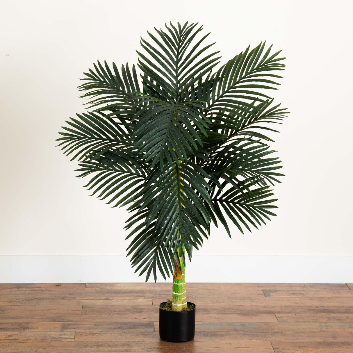 4ft. Golden Cane Palm Artificial Tree