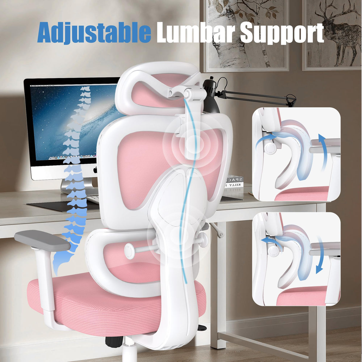 Ergonomic Office Chair with Adjustable Lumbar Support and 3D Arms