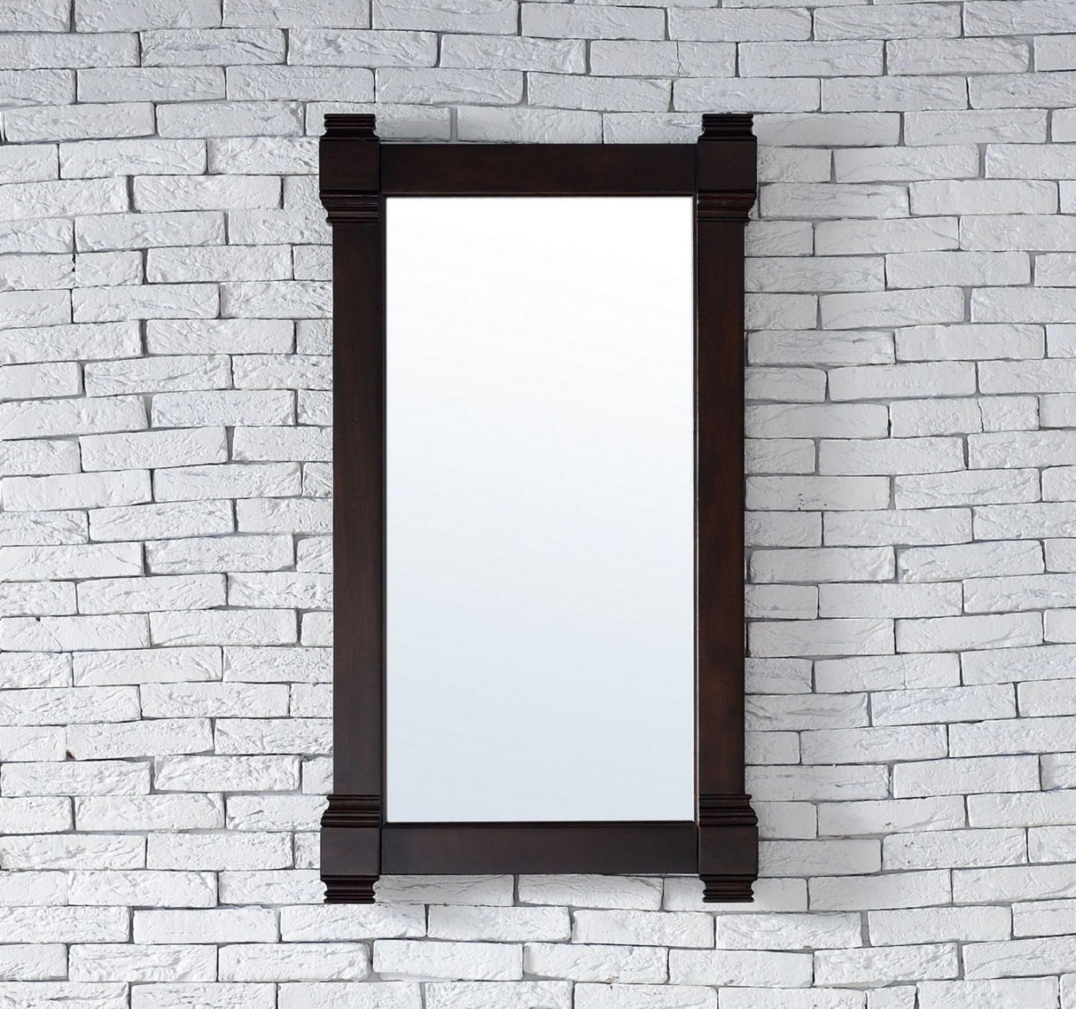 22 in. Mirror in Burnished Mahogany Finish