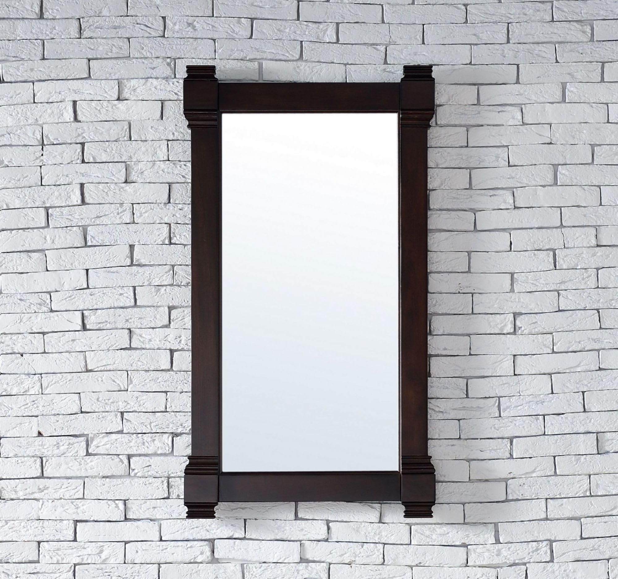 22 in. Mirror in Burnished Mahogany Finish