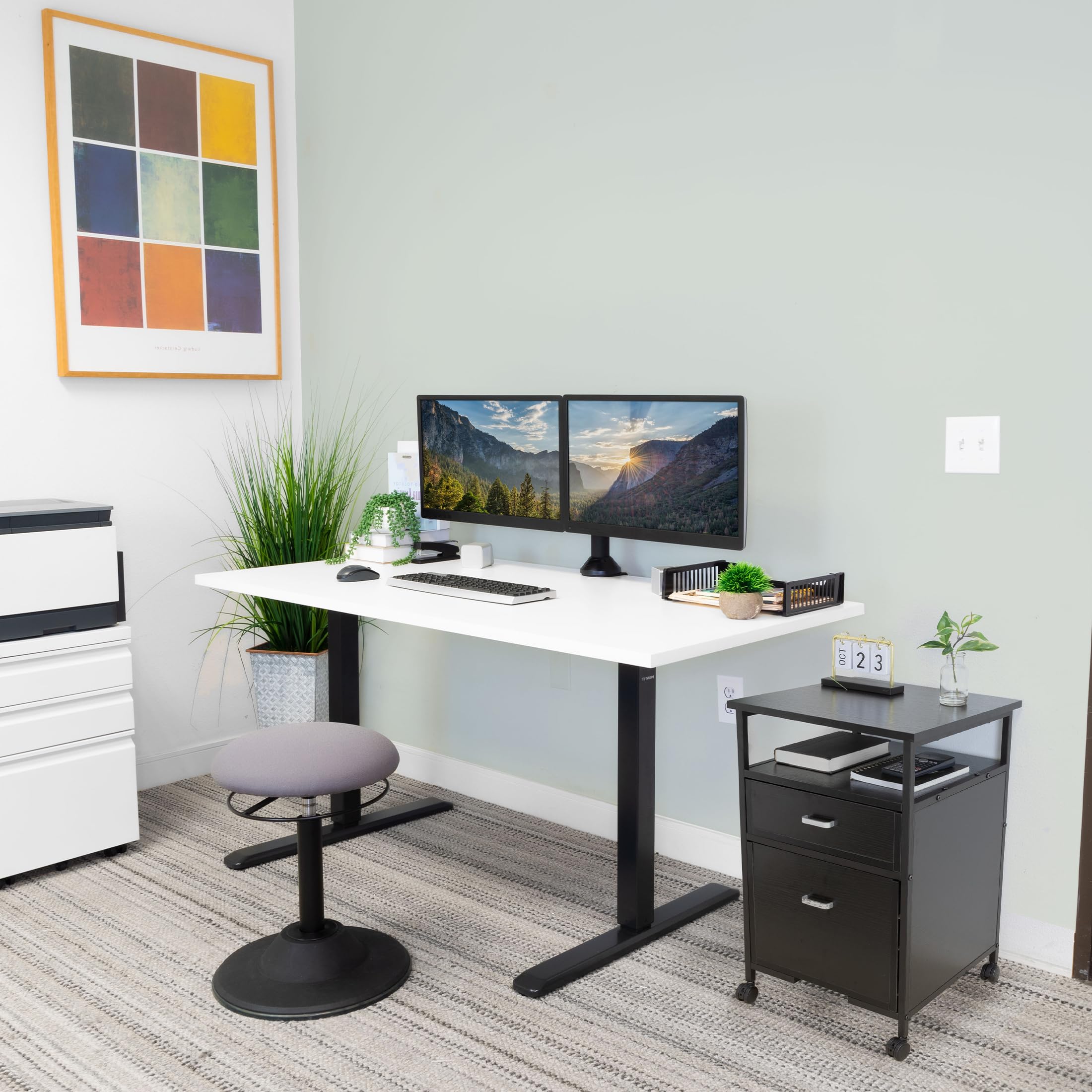 Mobile File Cabinet, Rolling Printer Stand with Open Storage Shelf, 2 Drawers