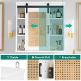 Bathroom Cabinet Wall Cabinet, Rattan Medicine Cabinet with Sliding Barn Door