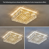 Lights Gold Crystal Flush Mount Ceiling Light Fixtures,Elegant Crystal Chandelier Pendant