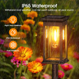 Solar Pathway Lights Outdoor, 8 Pack Upgraded Solar Outdoor Lights