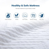 EGO Twin Mattress 6 Inch Green Tea Memory Foam Mattress Twin, CertiPUR-US Certified,