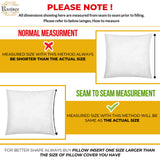 20x20 Throw Pillow Inserts Set of 2 - Luxurious Comfort for Your Couch